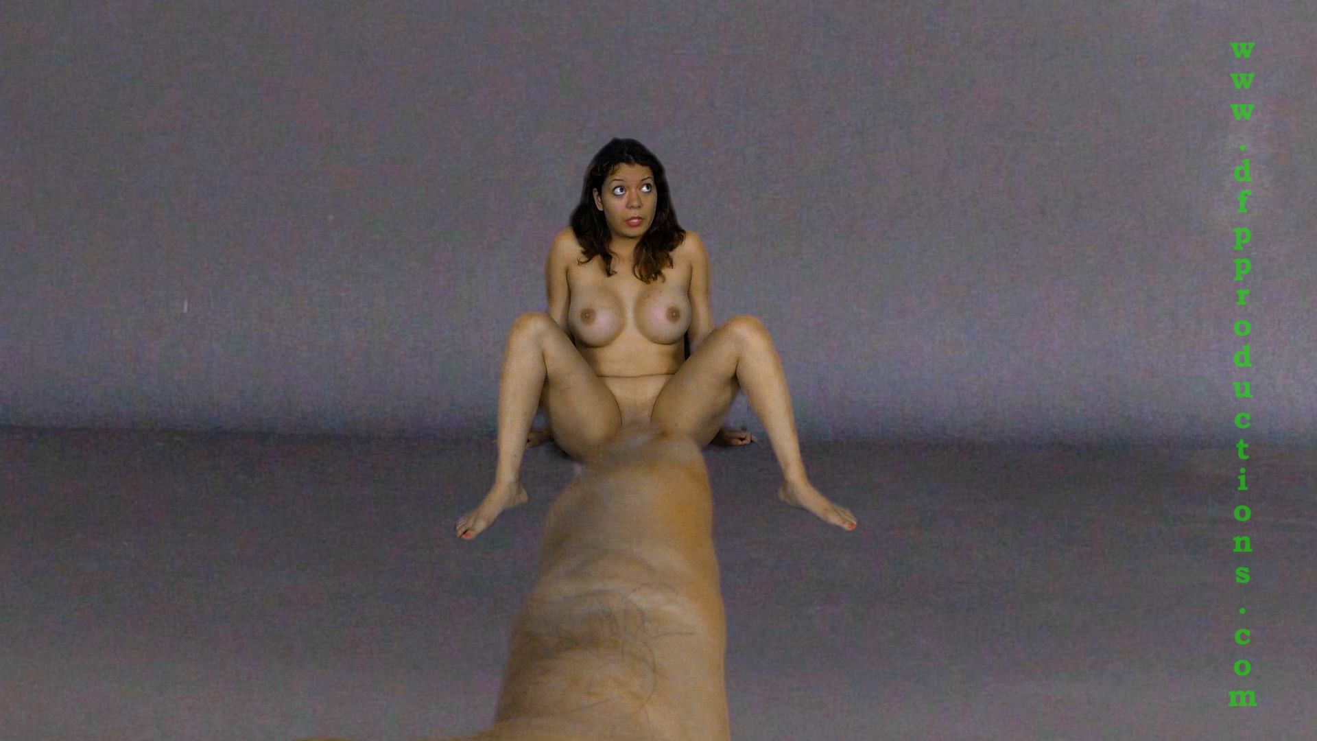 promo3_alittleaddition.jpg