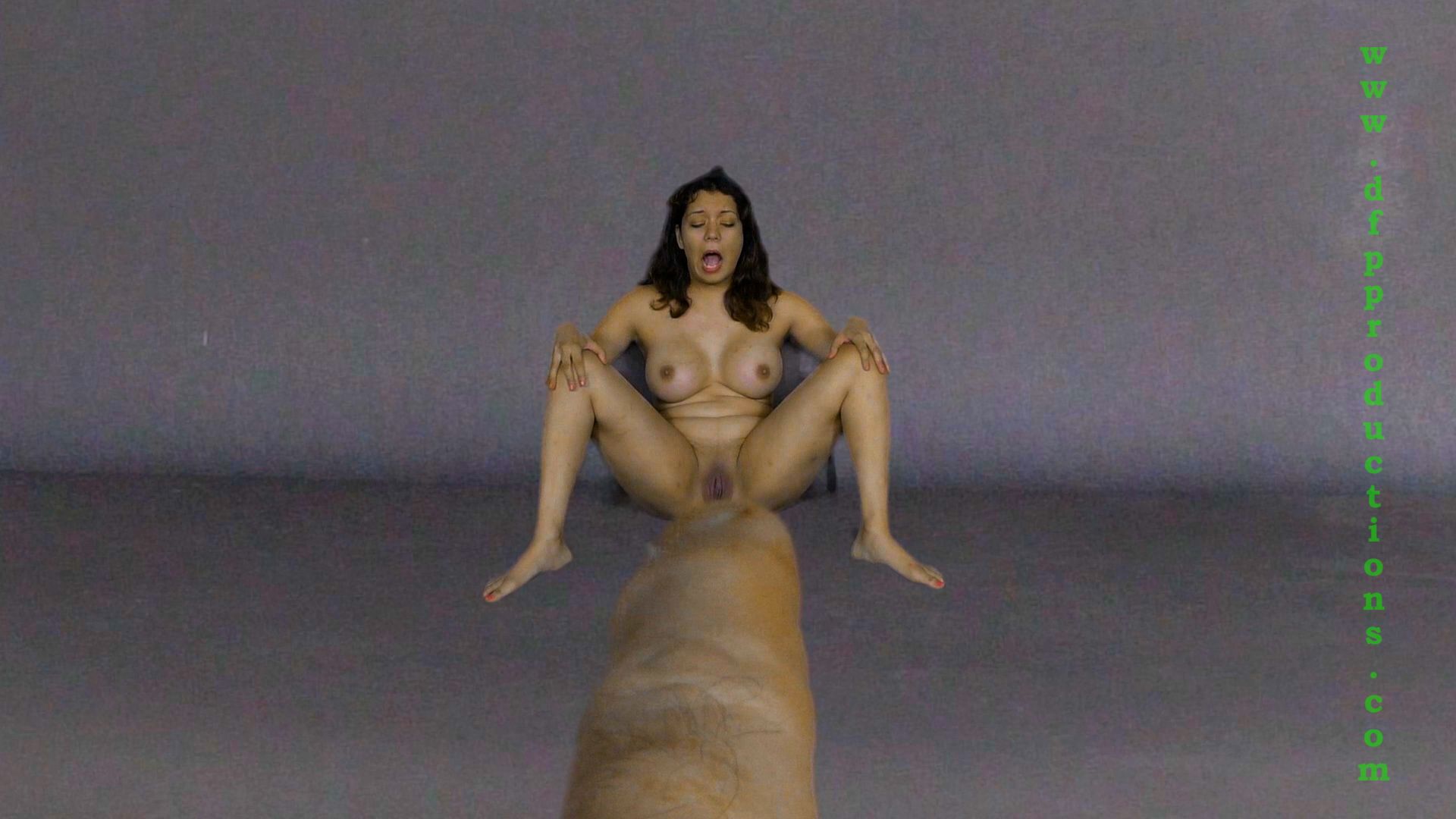 promo4_alittleaddition.jpg