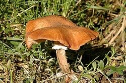 IMG_1281.jpeg