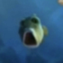 euno